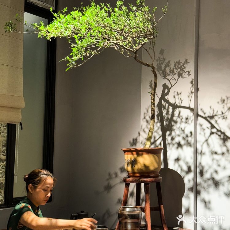 广州新开的！宋式美学庭院！！好美！