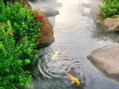 -罗红摄影艺术馆