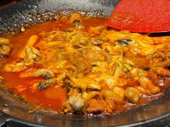 -红辣椒八爪鱼特色韩国料理