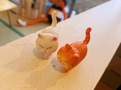 -猫在这儿猫咪咖啡馆·撸猫馆