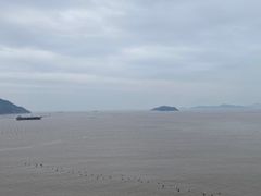 -北岐滩涂