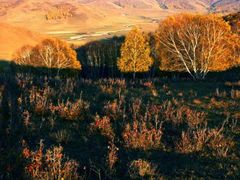 -塞罕坝国家级自然保护区