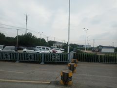 -莲花岛景区
