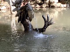 -汇龙潭