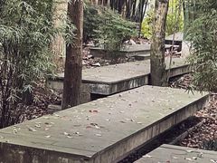 -鹿野苑石刻艺术博物馆