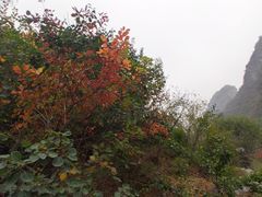 -北京乐谷