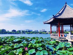 -济南大明湖景区