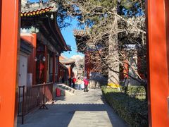 -北京艺术博物馆(万寿寺)