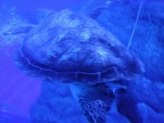 -成都浩海立方海洋公园