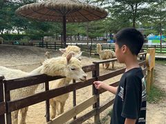 -盈香心动乐园