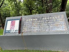 -马王堆汉墓遗址