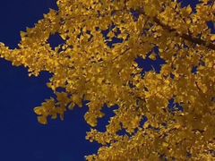 -亚马逊丛林水乐园