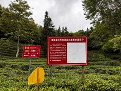 -天芳悦潭度假村温泉