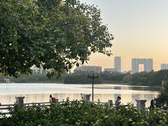 -海珠湖公园