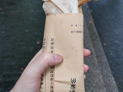 -孙奶奶葱包桧
