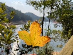 -广州市流溪河国家森林公园