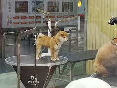 -宠物世家(仲盛世界商城店)