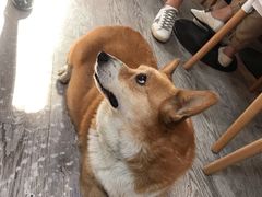 景观位-小时光咖啡馆(北锣鼓巷店)