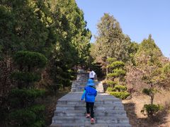-照金香山旅游景区