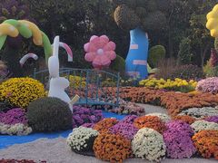 -上海共青森林公园