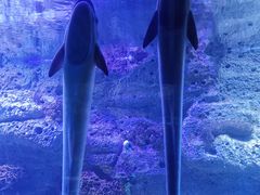 -左海海底世界