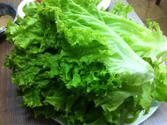 包生菜-西塔隆太白烤牛肉馆(图们路店)
