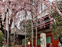 -浅草寺