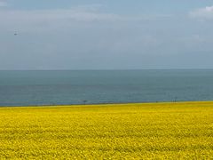 景点-青海湖国家重点风景名胜区