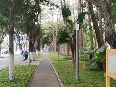 -深圳国际园林花卉博览园