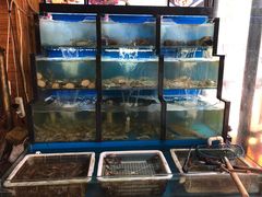 水产区-老东镇啤酒屋海鲜加工·蒸汽海鲜·海鲜烧烤(台东店)