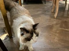 -咖法森林·咖啡  酒吧(天河店)