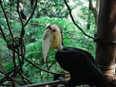 -广州长隆野生动物世界