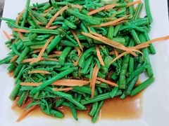 凉拌野山菜-金阁家常菜(贵阳路店)