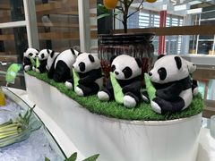 -王家渡火锅店(棕榈泉店)