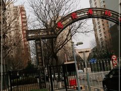 -芍药居北里