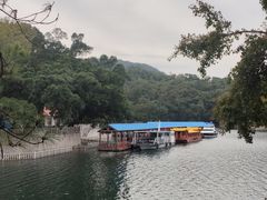 -广州市流溪河国家森林公园