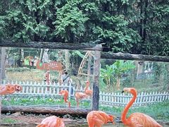 -贵州森林野生动物园