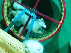 -大连圣亚海洋世界