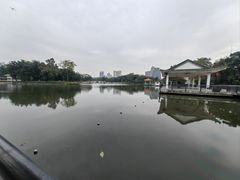 -荔湾湖公园