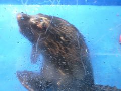 -成都浩海立方海洋公园