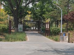 -绿堤公园