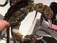 -星伦多自助料理(花山金鹰店)