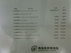 -青岛贝壳博物馆