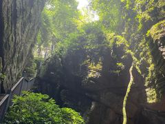 -梦幻奥陶纪景区