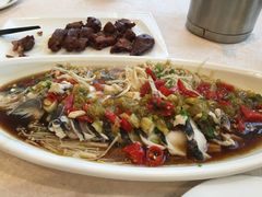 -鑫皇朝酒店(建设一路店)