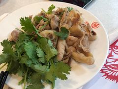 -振鼎鸡(华阴路店)