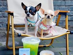 -BE YOLO必有乐&小红帽三明治