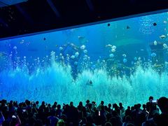 -波塞冬旅游度假区