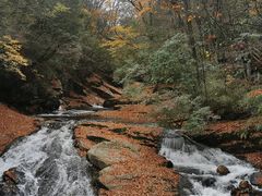 -光雾山旅游景区