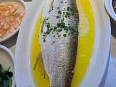 古法清蒸白鱼-二泉园老菜馆·百年无锡菜